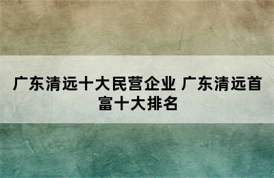 广东清远十大民营企业 广东清远首富十大排名